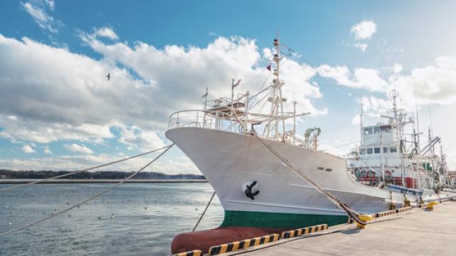 Pemilik kapal penangkap ikan harus merekrut atau mempekerjakan kru kapal orang asing sebagai anggota kader yang bertugas menjadi pengatur navigasi dan teknisi mesin kapal ikan. 